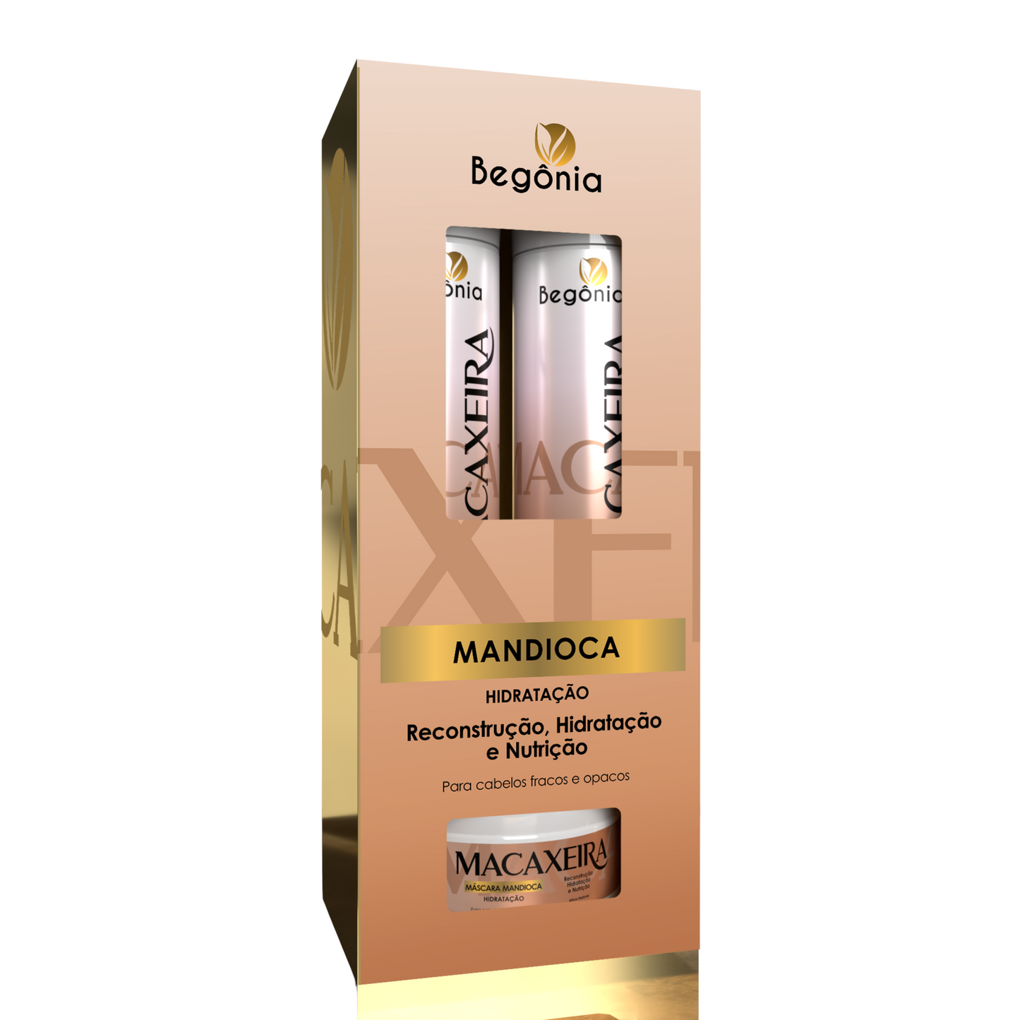 KIT MACAXEIRA BEGONIA