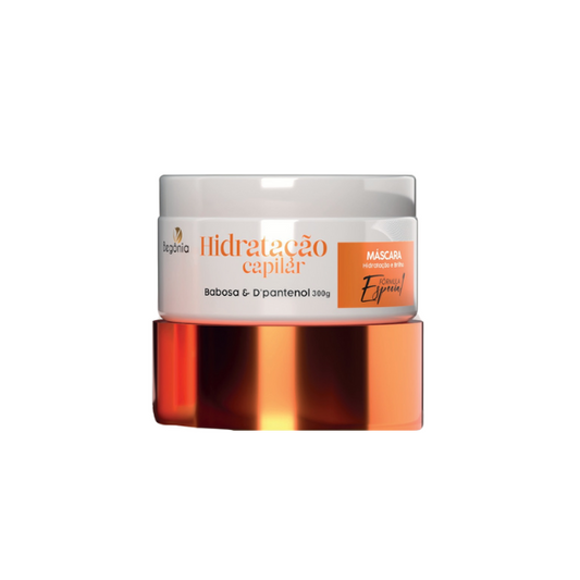 MASCARA HIDRATACAO CAPILAR 300G BEGONIA