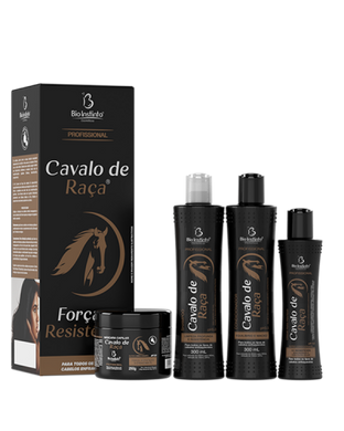KIT CAPILAR CAVALO DE RACA 4 ITENS BIO INSTINTO